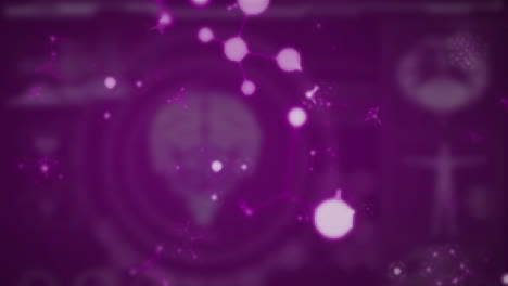 animación de moléculas y elementos químicos flotando sobre el modelo del cerebro humano