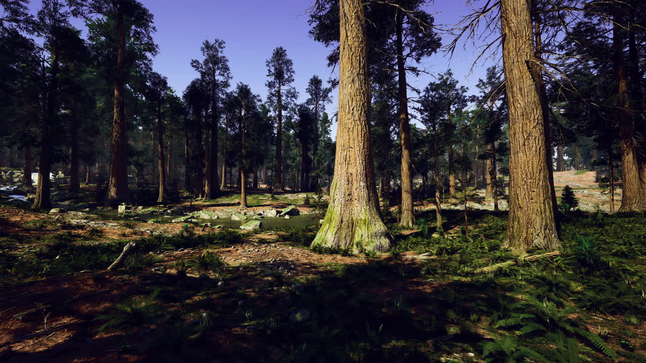 Vibrant forest landscape with tall trees and sunny sky in a serene setting