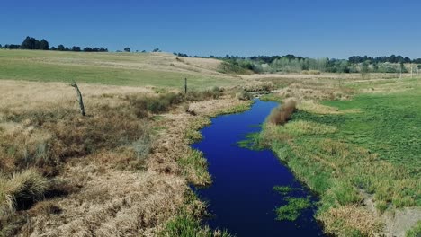 Aerial-view-footage-of-a-swamp-lake-river-with-green-grass-in-a-rural-area-of-south-africa