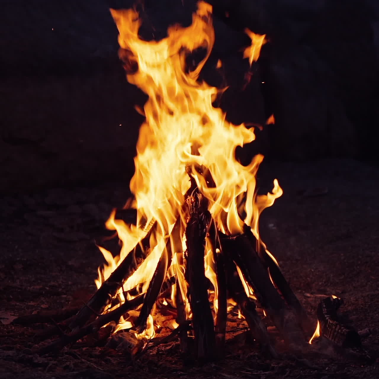 burning bonfire on a summer evening next to forest