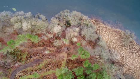 Imágenes-Aéreas-Cinematográficas-De-Un-Pie-Caído-En-El-Lago-Windermere,-Un-Parque-A-Orillas-Del-Lago-Con-Impresionantes-Vistas-De-Las-Montañas-De-Cumbria