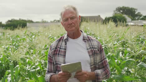 mature man working on farm