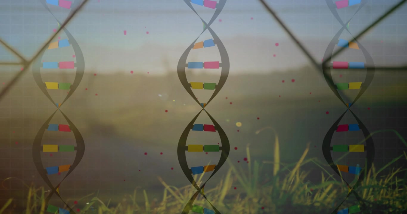 Central DNA helix pulsing over field bases appearing then emitting dust forming X frame for biotech