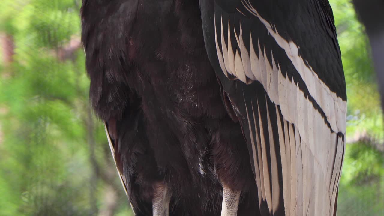 la mejor vista en yokohama