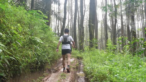 hikers on a muddy forest trail