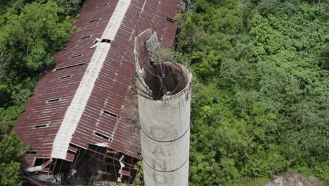 Jungle-undergrowth-slowly-reclaims-the-land-where-a-long-abandoned-and-now-derelict-warehouse-once-stood-in-the-heart-of-Puerto-Rico