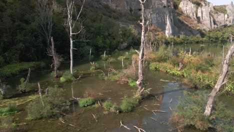 tiro de drone arrastrándose en un río fangoso con árboles y ramas caídas