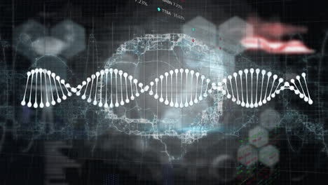 animation of digital screen with scientific data, dna and brain