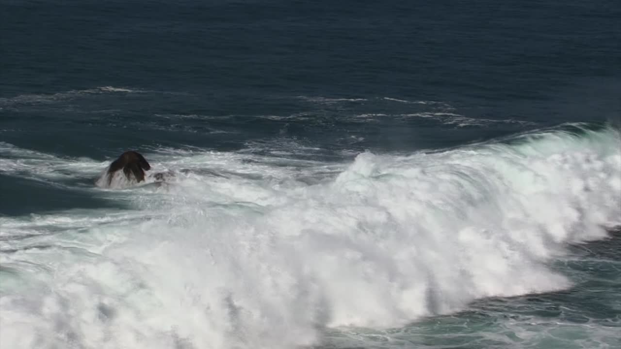 olas en cabo san lucas, méxico