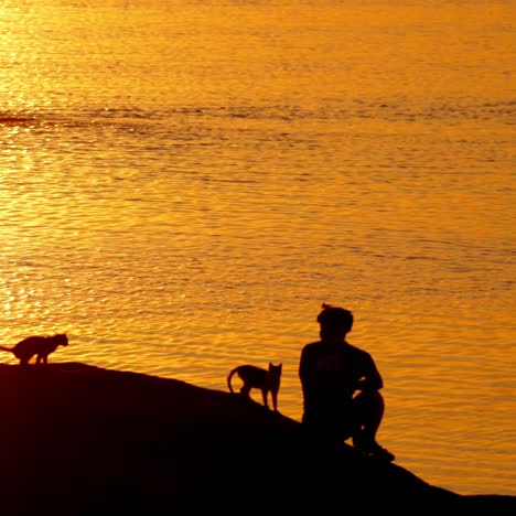 silhouette of mountain biker at sunset