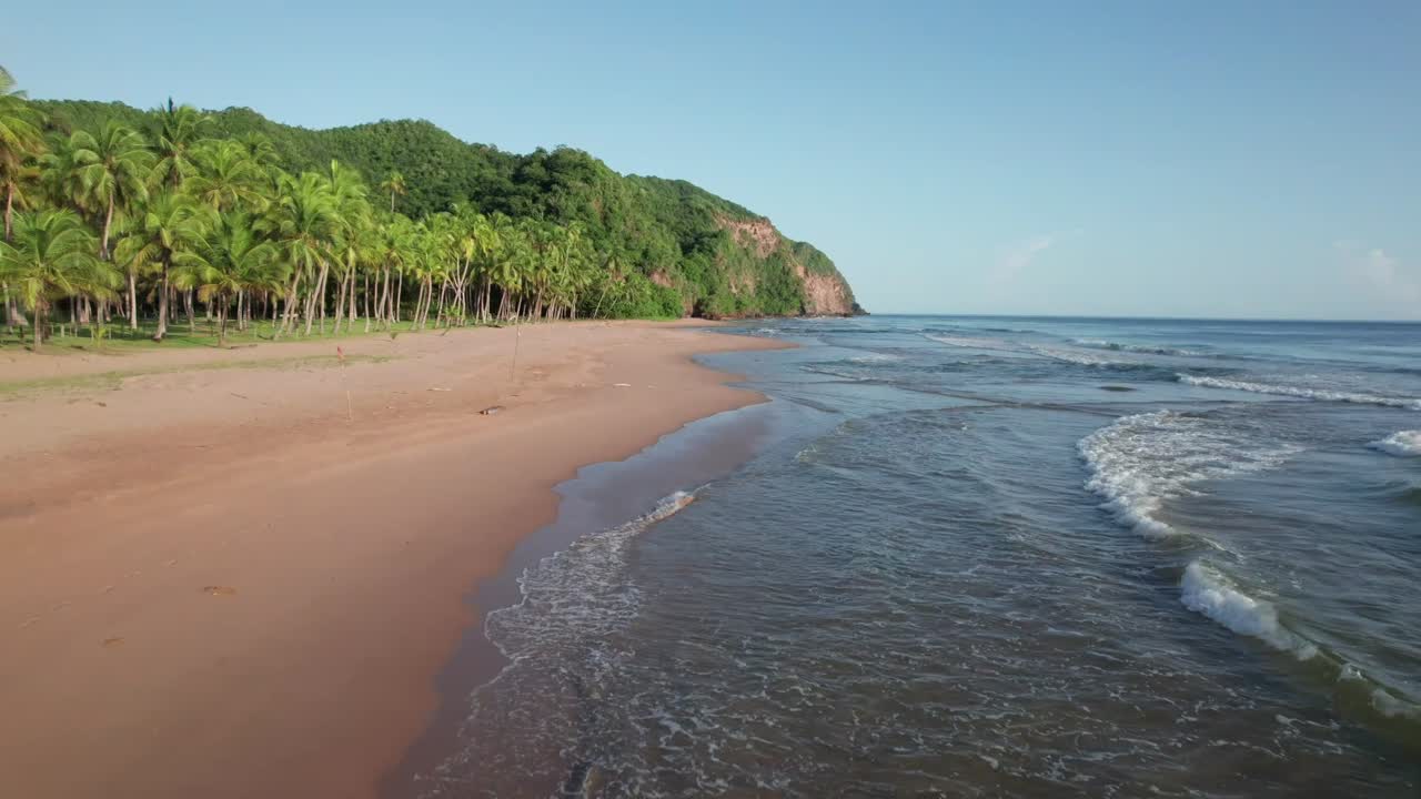 Tranquil beach with palm trees at Puy Puy, aerial summer view
