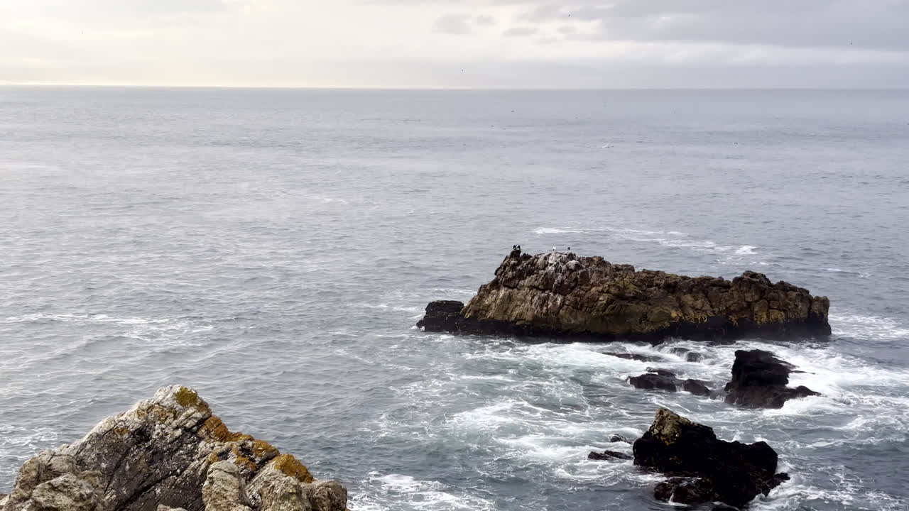 Veduta da un punto panoramico di un branco di delfini che caccia pesci esca a Walker Bay, Hermanus.
