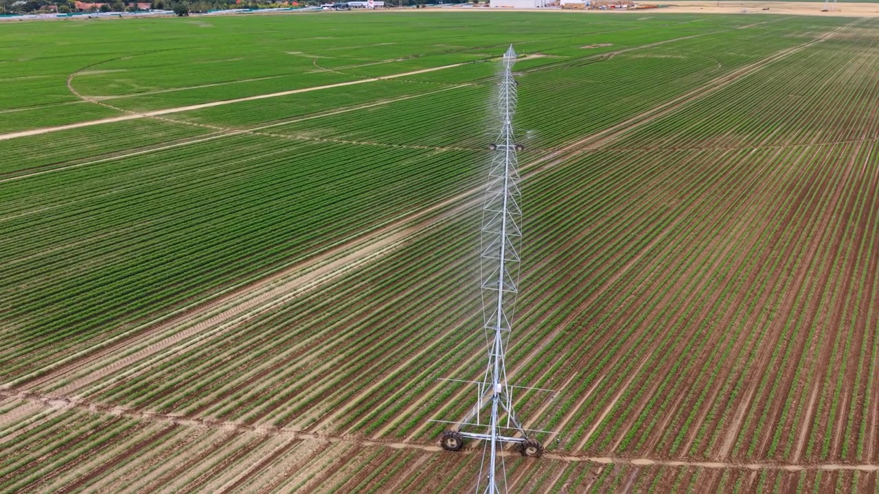 Ripresa aerea di un braccio di irrigazione che irriga un campo agricolo verde. Ampia vista drone di una lunga struttura metallica di irrigazione che spruzza acqua su file piantate sotto un cielo coperto.