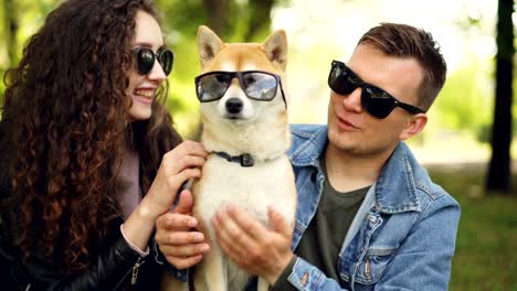 cute couple handsome guy and his girlfriend are kissing pedigree dog, all wearing sunglasses, people are laughing and touching animal. pets and owners concept.