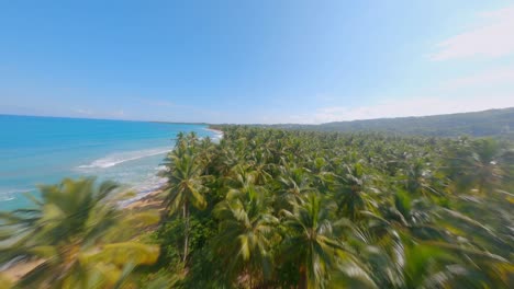 Fly-Over-Trees-And-Beach-Landscape-of-Playa-Coson,-Las-Terrenas,-Dominican-Republic---aerial-shot
