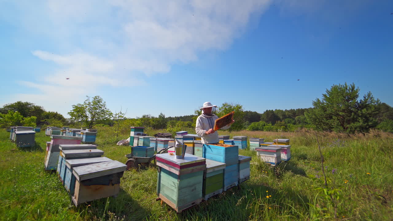 Apiculture. Beekeeper inspects bees in wooden hive. Beehives on summer nature background. Worker in protective hat with frame on apiary.