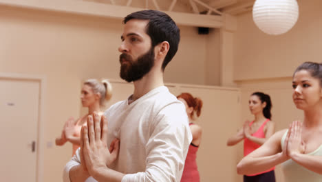 group of people performing yoga