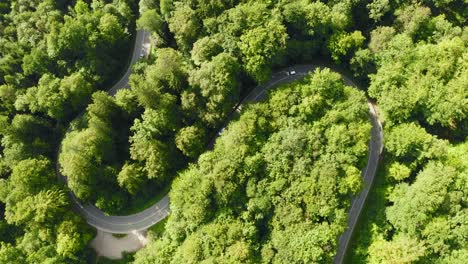 timelapse from above: cars a driving through a double curve in a summertime forest, fast dynamic video