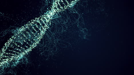 dna molecule rotates on a blue background. looped seamless animation.