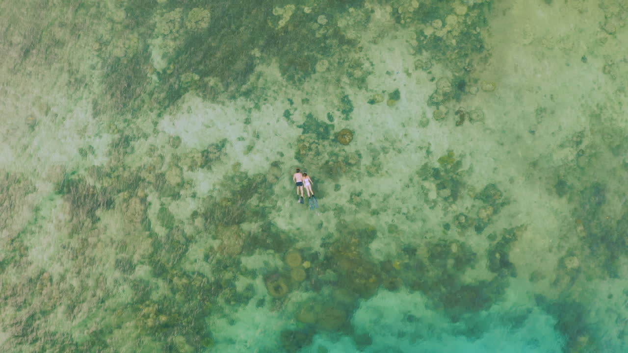 It's just the two of them in the whole ocean