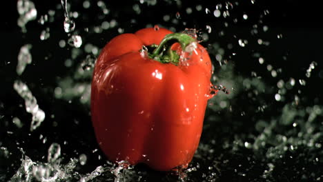 Water-raining-on-pepper-in-super-slow-motion