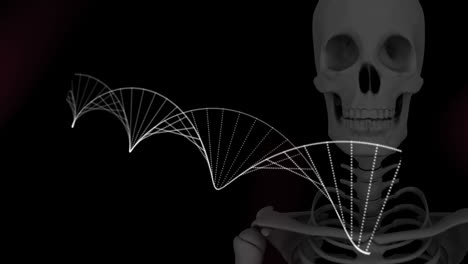 digital animation of dna structure spinning against human skeleton model on black background