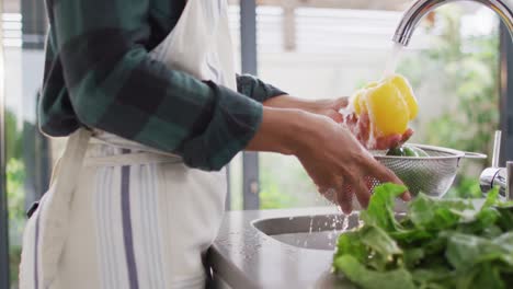 video de las manos de una mujer asiática lavando verduras