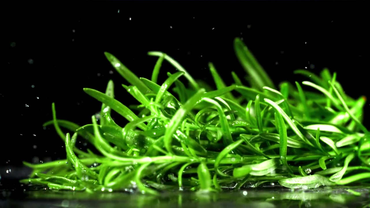 Fresh Rosemary Sprigs Falling and Splashing on Black Background