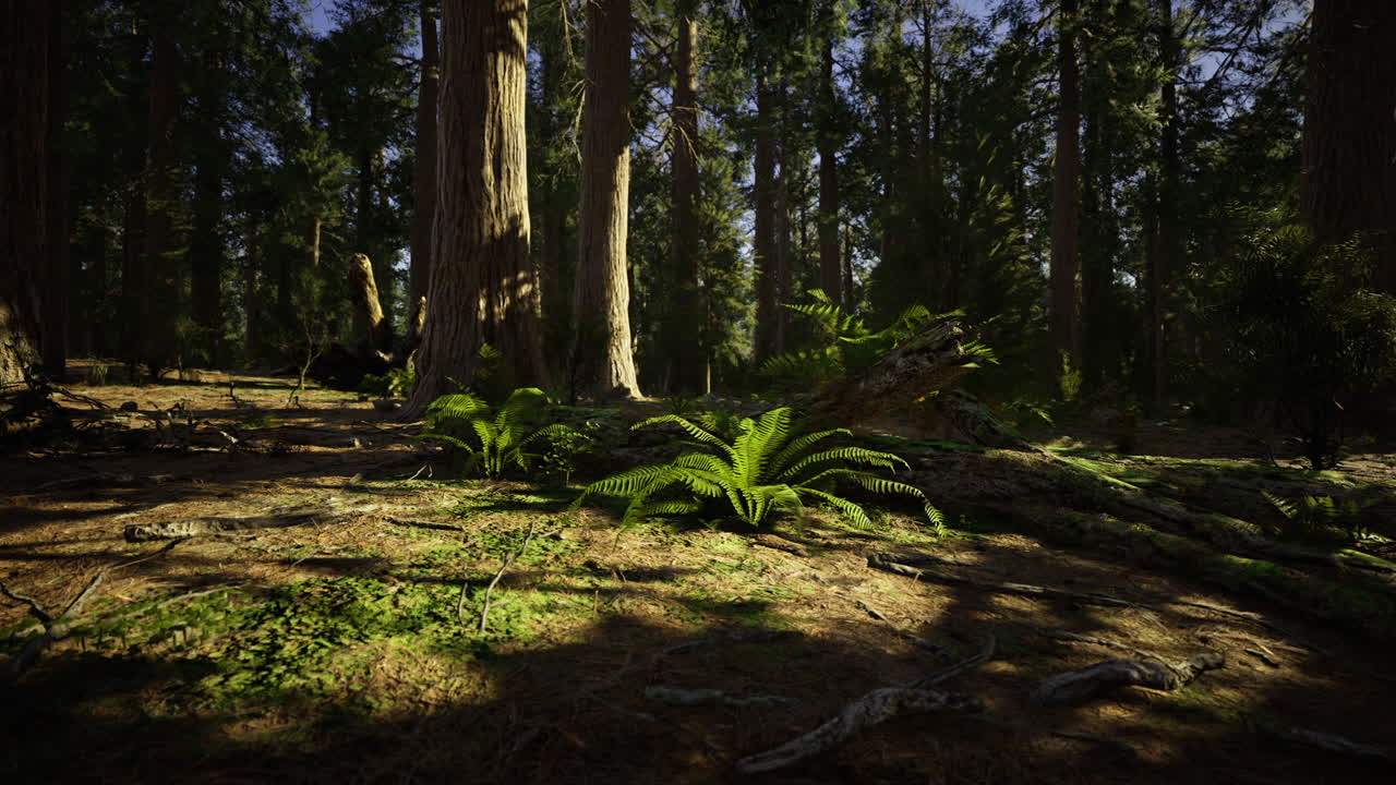 Sunlight filtering through ancient trees in a tranquil forest setting