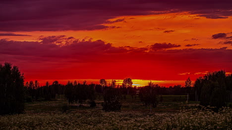 Statische-Aufnahme-Düsterer-Wolken,-Die-Im-Frühling-Bei-Sonnenuntergang-über-Wilden-Weißen-Blumenfeldern-Im-Zeitraffer-Vorbeiziehen