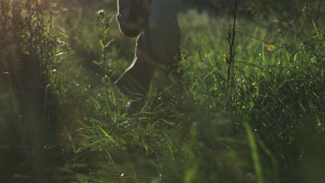 person walking through grass