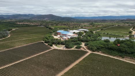 aerial: vineyards in mountainous wine capital of tarija, bolivia