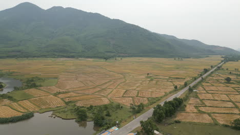 drone rise over harvested fields in central vietnam near lang co