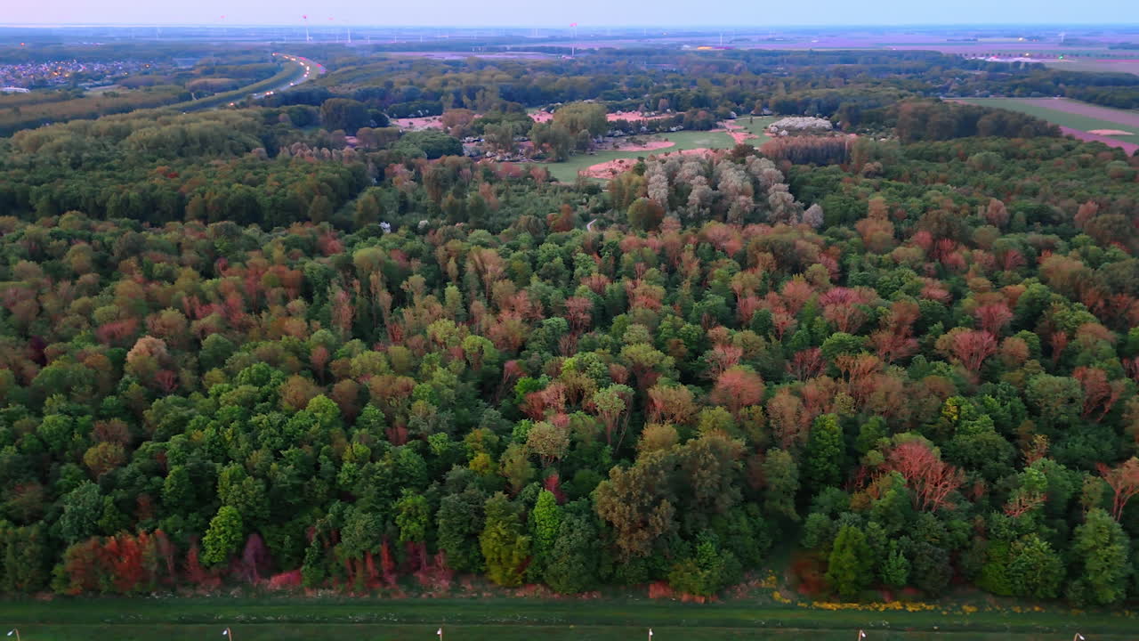 Scenic aerial view of lush Dutch forest. Expansive forest landscape in the Netherlands during twilight