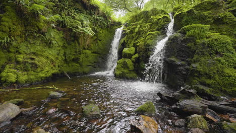 beautiful mossy waterfall in a lush forest