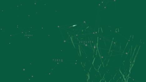 animation of abstract network connections with numbers on green background