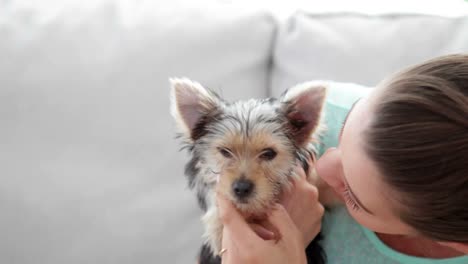 Frau-Kuschelt-Ihren-Süßen-Yorkshire-Terrier-Welpen-Auf-Dem-Sofa