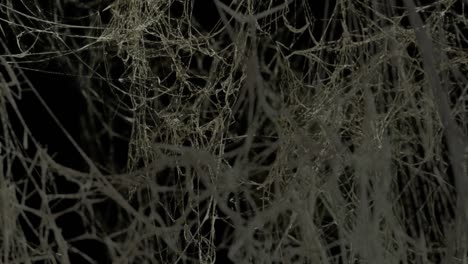 fly through endless spider webs. scary space, horror, halloween background. the video is in a loop.