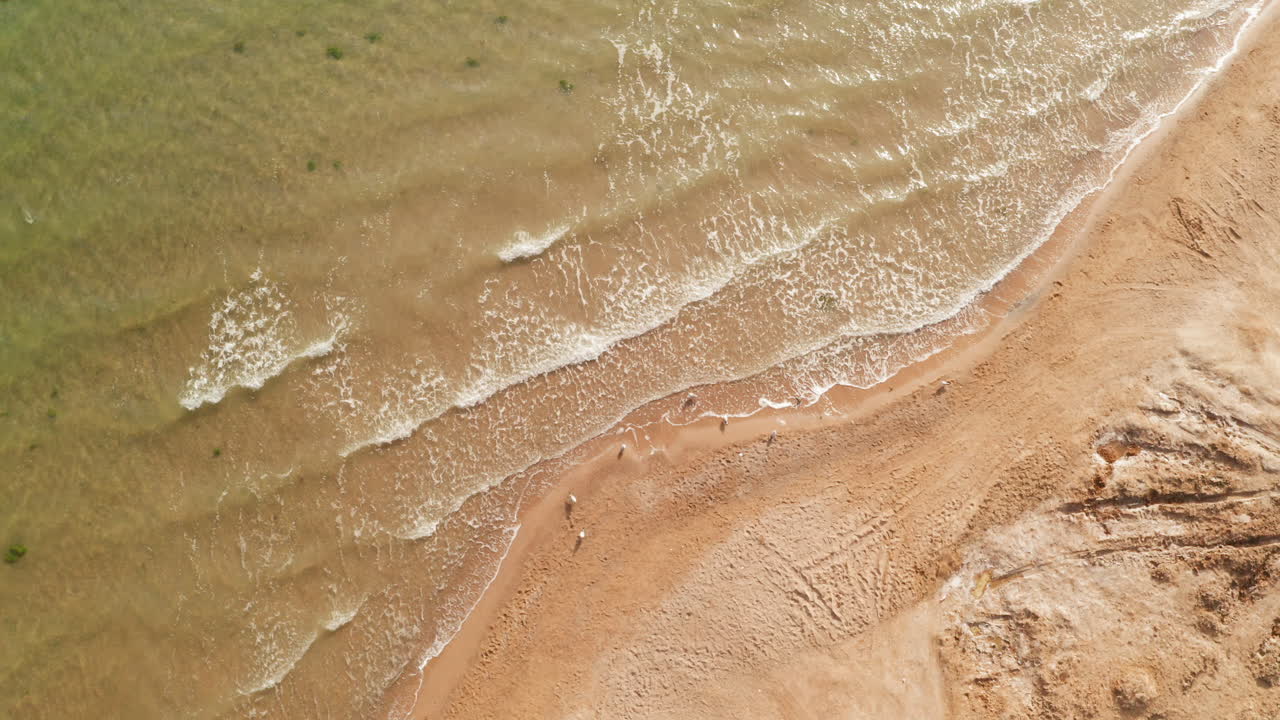 호수 의 풍경, 토양과 호수 가장자리.