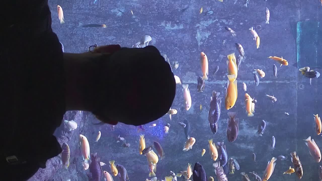 파란색 배경의 수족관 앞에 있는 남자의 검은 실루엣