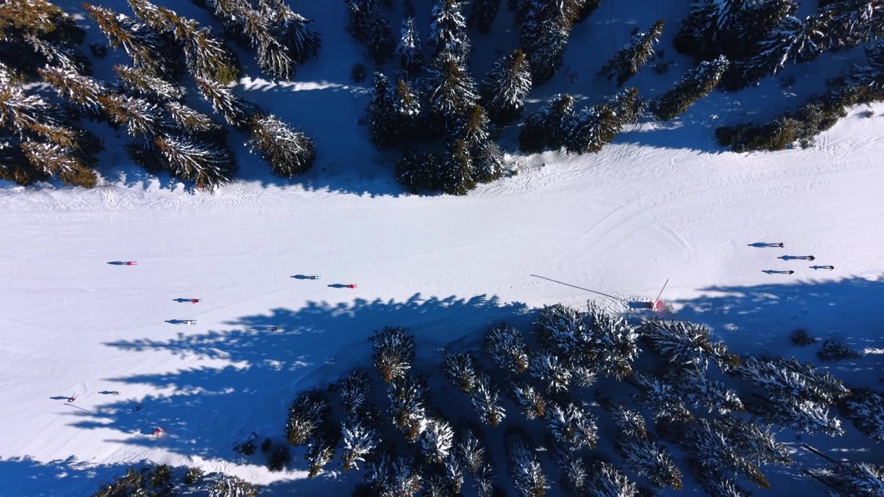 People skiing on a snowy mountain trail. People are skiing down a wide snow-covered mountain trail surrounded by trees in winter.