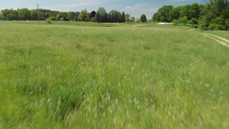 toma aérea de drones volando sobre campos de hierba alta