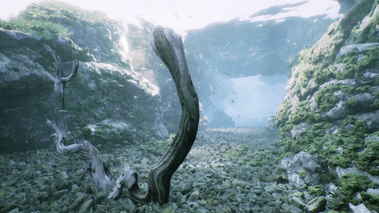 Underwater view of a serene natural landscape with rocks and drifting currents