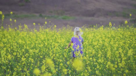 Linda-Niña-Camina-Por-Un-Campo-De-Flores-Amarillas-Lejos-De-La-Cámara