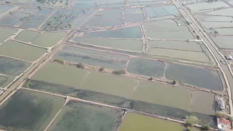 aerial view of fish farms