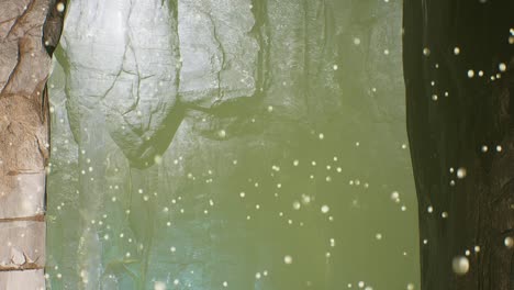 una enorme cueva con partículas de polvo flotando alrededor, cámara de animación 3d hacia abajo