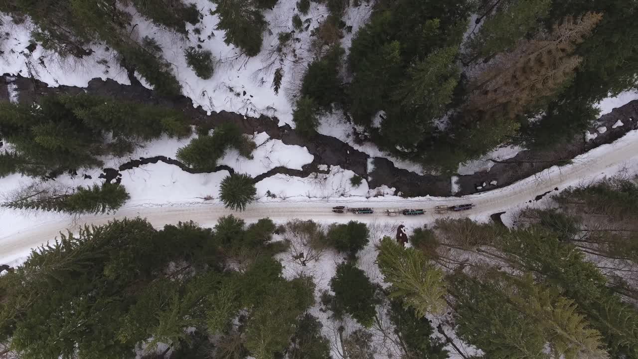 Aerial shot of three horse teams pulling carts in a narrow valley next to a stream during late winter