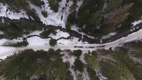 Aerial-shot-of-three-horse-teams-pulling-carts-in-a-narrow-valley-next-to-a-stream-during-late-winter