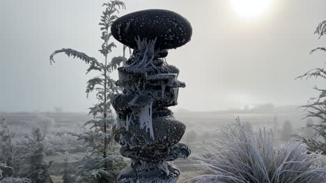 escultura de roca apilada cubierta de telarañas y escarcha