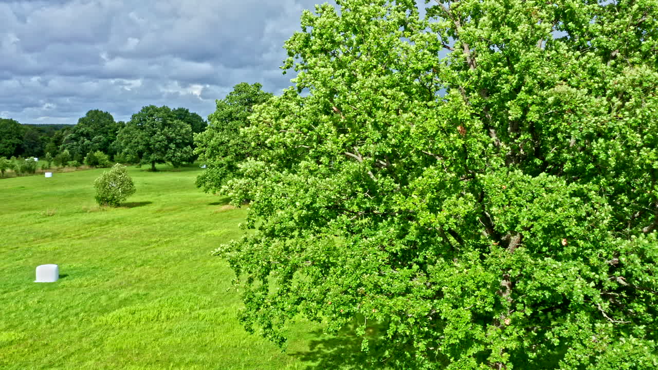 Nature Landscape Grass Meadow With Trees and Bales of Straw and a Blue Sky with White Clouds - Pan Shot